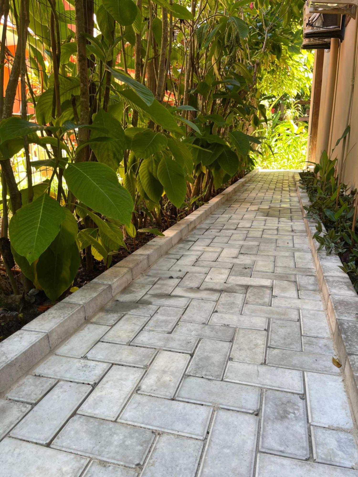 Pousada Vilarejo Itacaré المظهر الخارجي الصورة